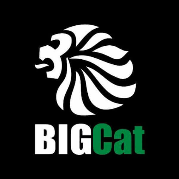 BigCat – Nigeria